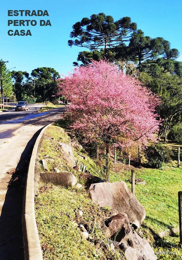 Suites Nas Nuvens Premium Gramado Bagian luar foto